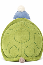 Timmy Turtle Skating