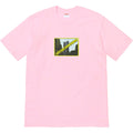 Supreme Greetings from NY Tee - Pink