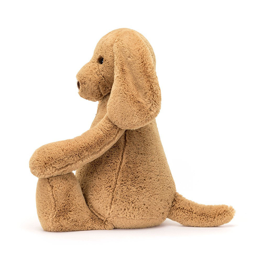 Bashful Toffee Puppy