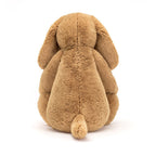 Bashful Toffee Puppy