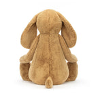 Bashful Toffee Puppy