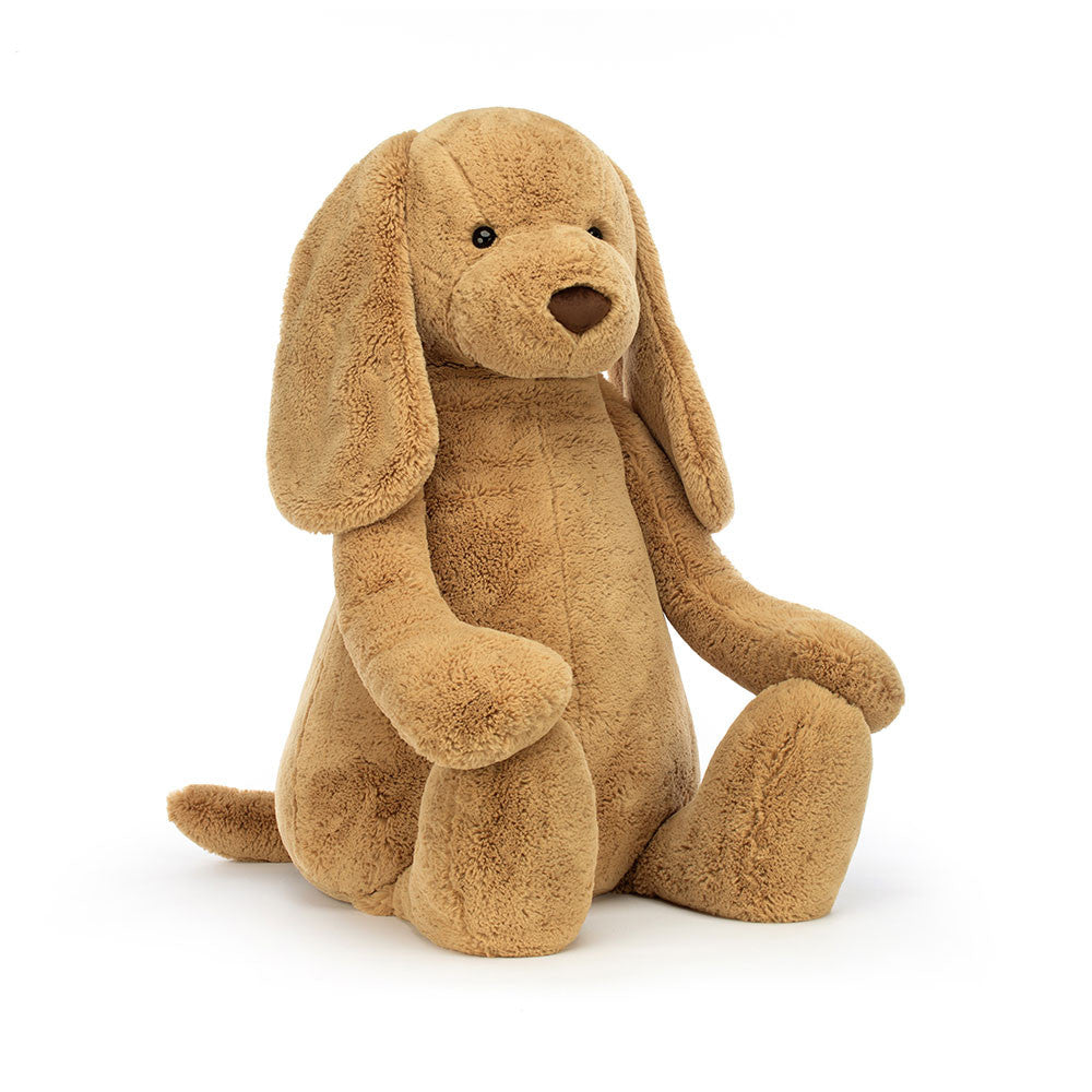 Bashful Toffee Puppy