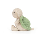 Thimble Turtle
