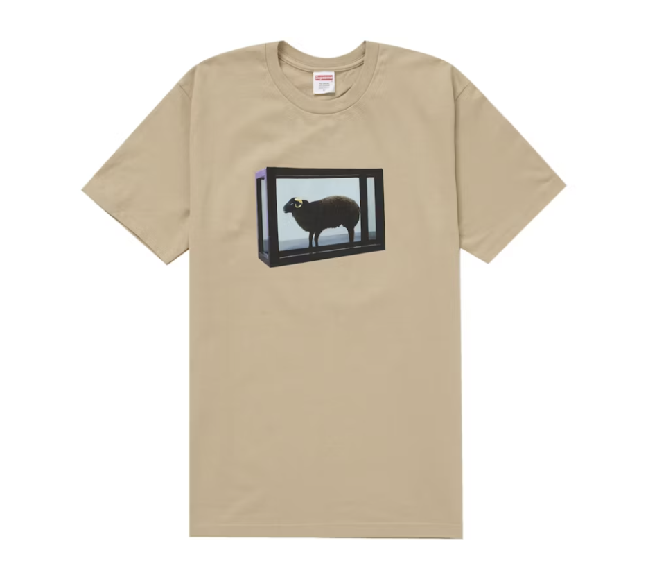 Supreme Damien Hirst Tee - Khaki (SS25)