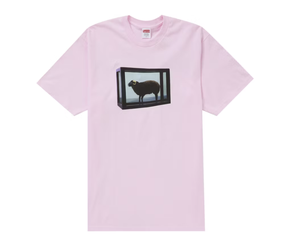 Supreme Damien Hirst Tee - Light Pink (SS25)