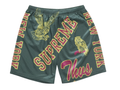 Supreme Varsity Mesh Short - Green (SS25)