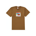 Supreme Weather Tee - Brown (FW23)