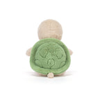 Thimble Turtle
